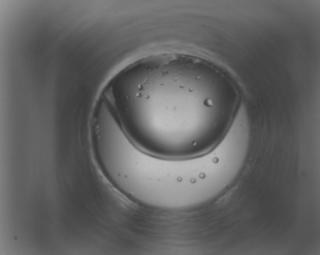 X0000067531514200604211830