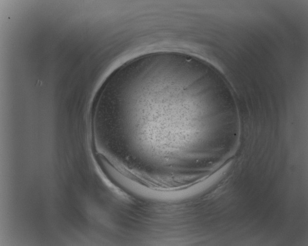 X0000067531515200604211830