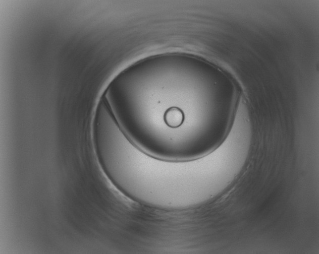 X0000067531516200604211830