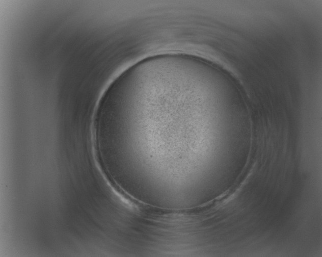 X0000067531517200604211830