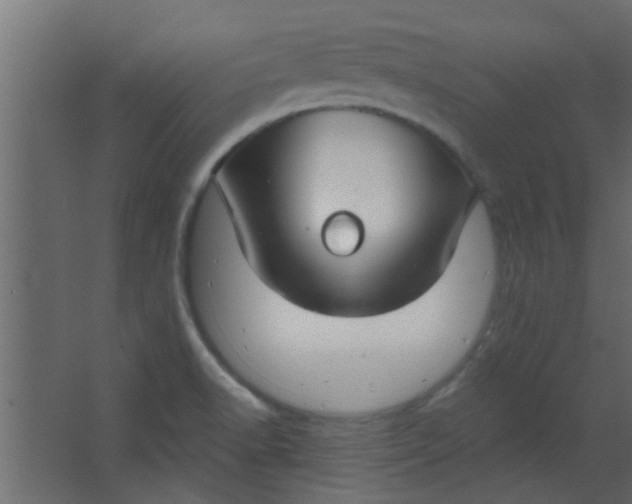 X0000067531518200604211830