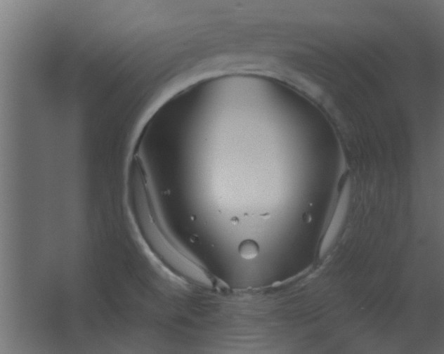 X0000067531520200604211830