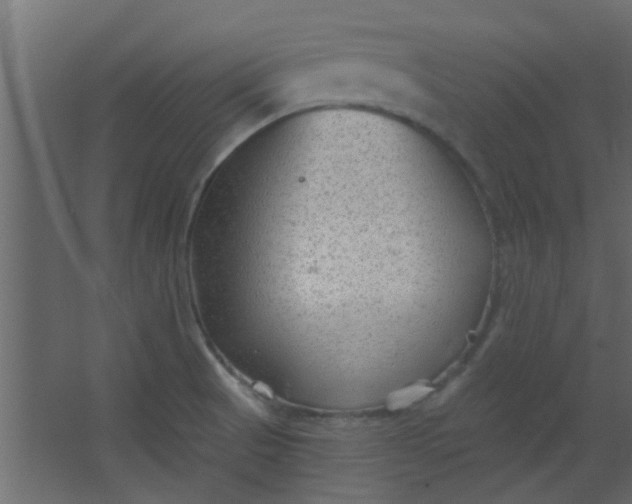 X0000067531521200604211830