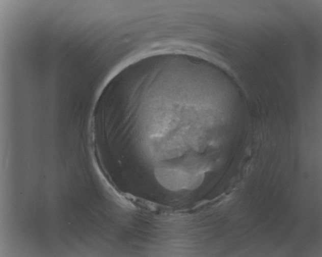 X0000067531522200604211830