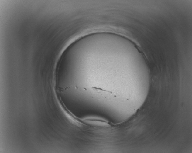 X0000067531523200604211830