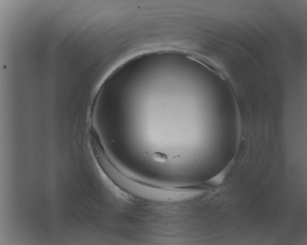 X0000067531524200604211830