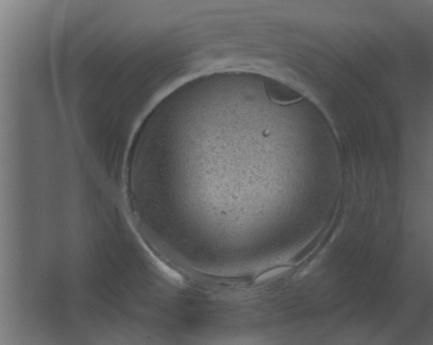 X0000067531525200604211830