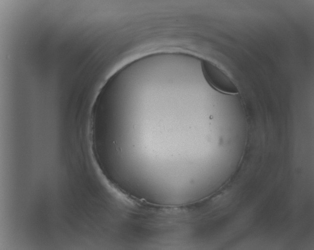 X0000067531526200604211830