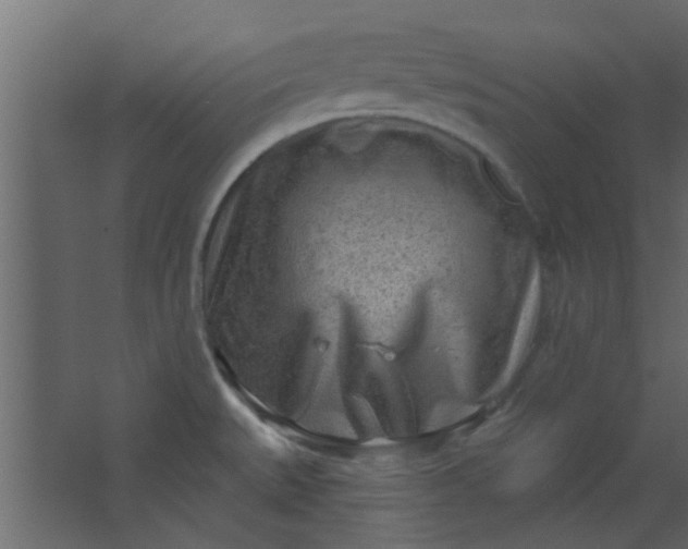 X0000067531527200604211830