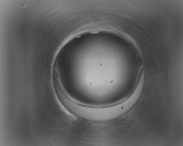 X0000067531528200604211830