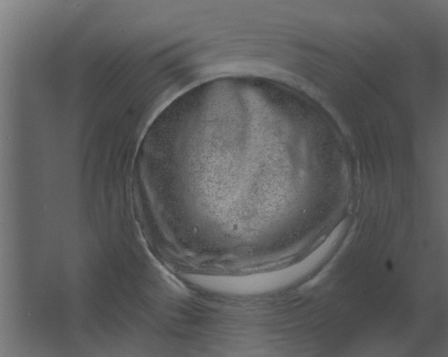 X0000067531529200604211830