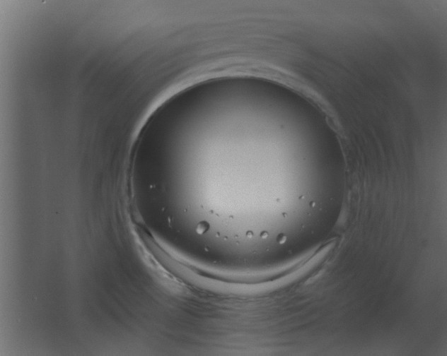 X0000067531530200604211830