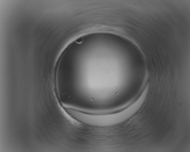 X0000067531531200604211830