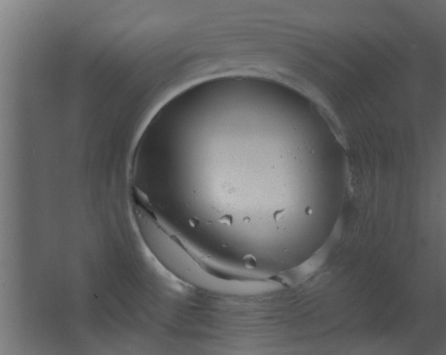 X0000067531532200604211830