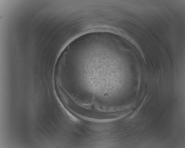 X0000067531533200604211830