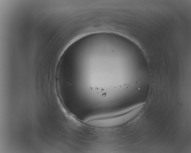 X0000067531534200604211830