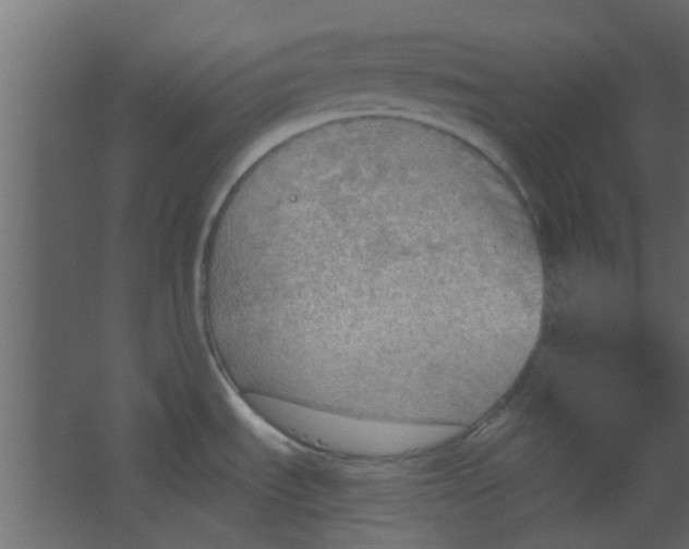 X0000067531535200604211830