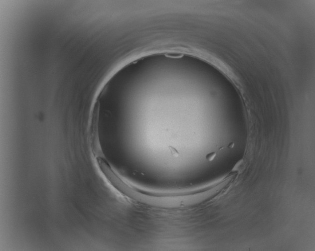 X0000067531536200604211830