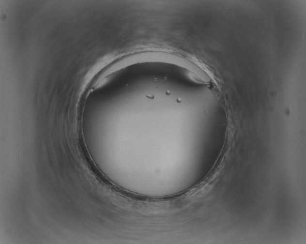 X0000067530008200604281711