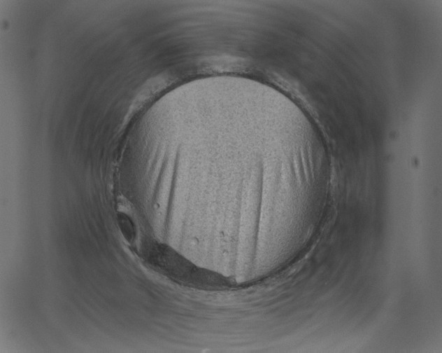 X0000067530010200604281711