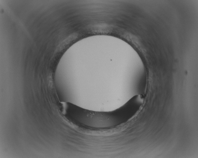X0000067530017200604281711