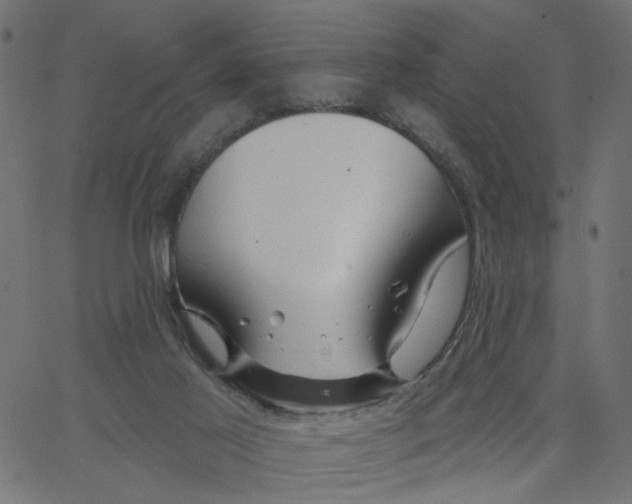 X0000067530021200604281711
