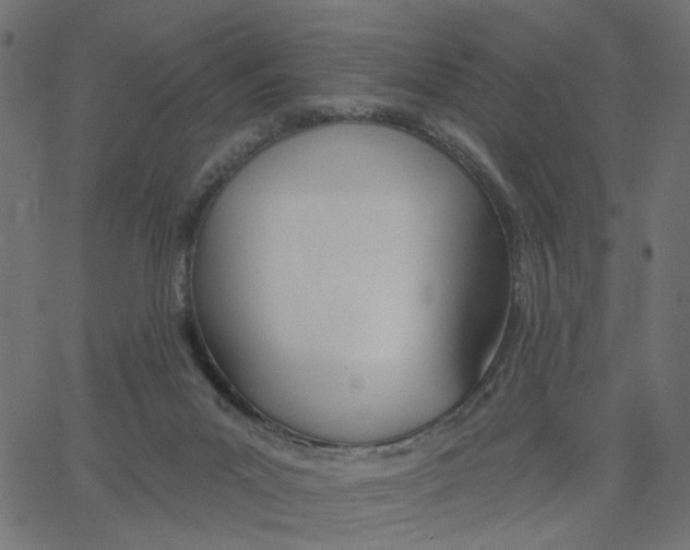 X0000067530023200604281711