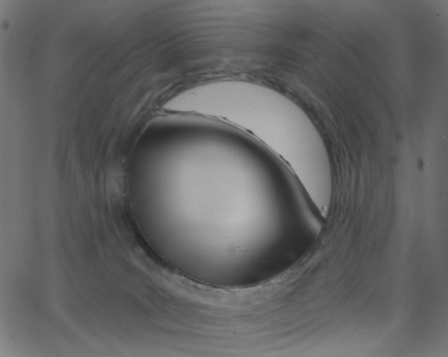 X0000067530035200604281711