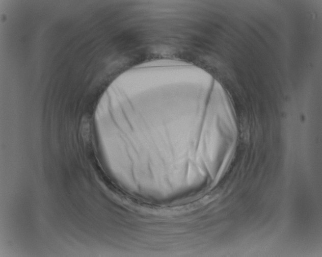X0000067530036200604281711