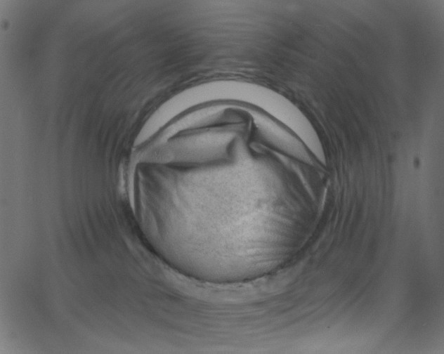 X0000067530042200604281711