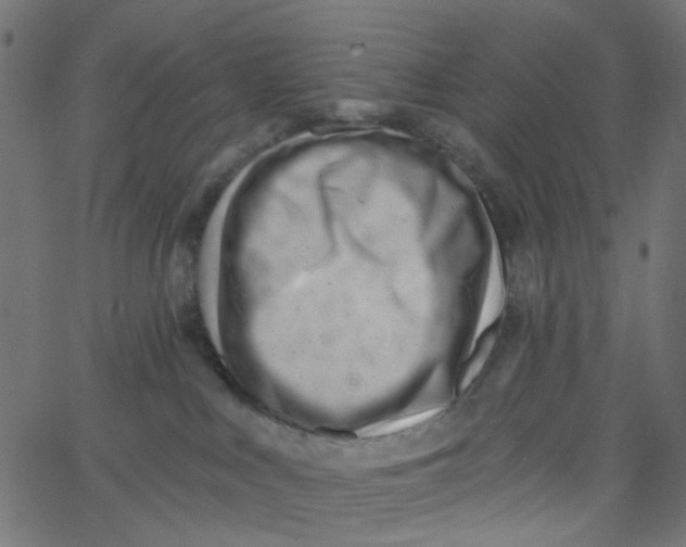 X0000067530043200604281711