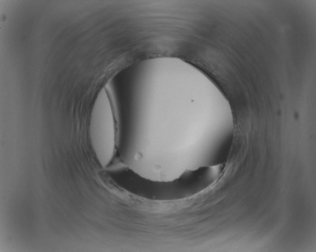 X0000067530045200604281711