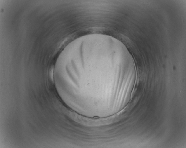 X0000067530047200604281711