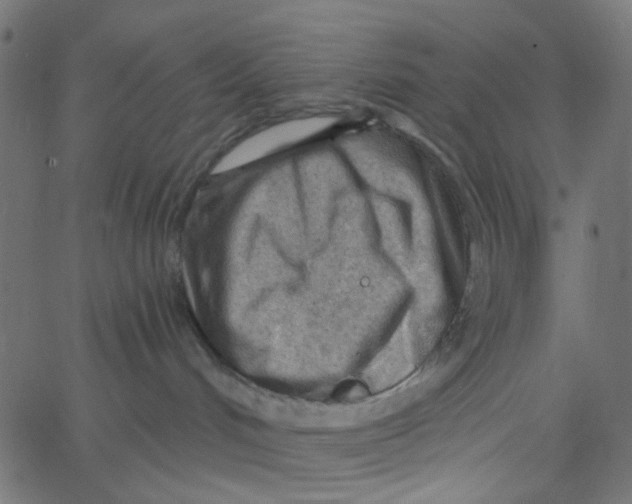 X0000067530048200604281711
