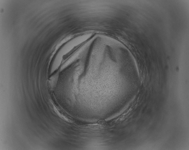 X0000067530050200604281710