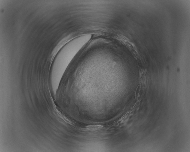 X0000067530051200604281710