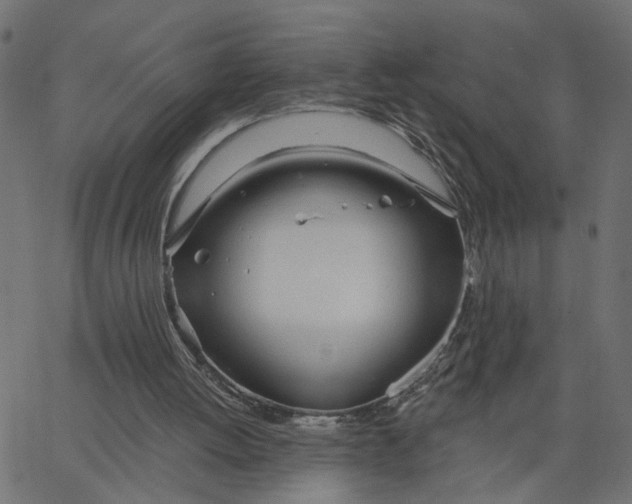 X0000067530052200604281710