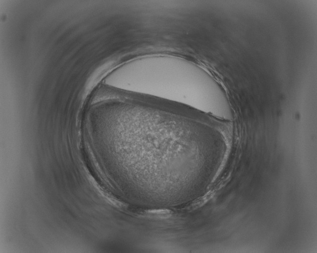 X0000067530053200604281710