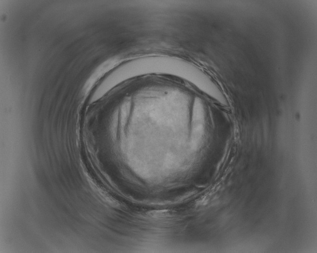 X0000067530054200604281710