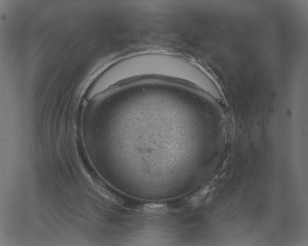 X0000067530055200604281710
