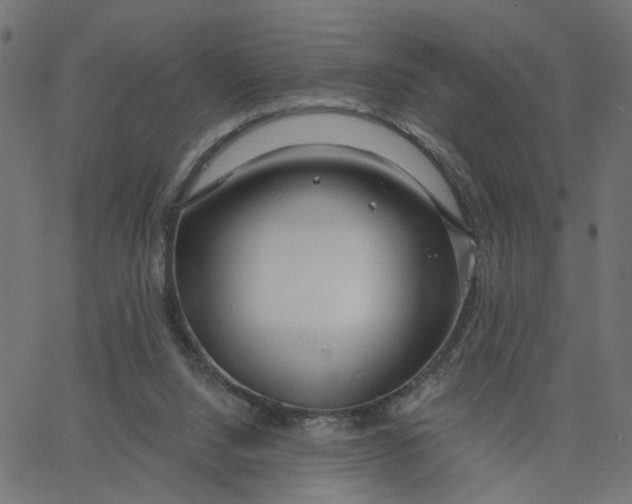 X0000067530064200604281710