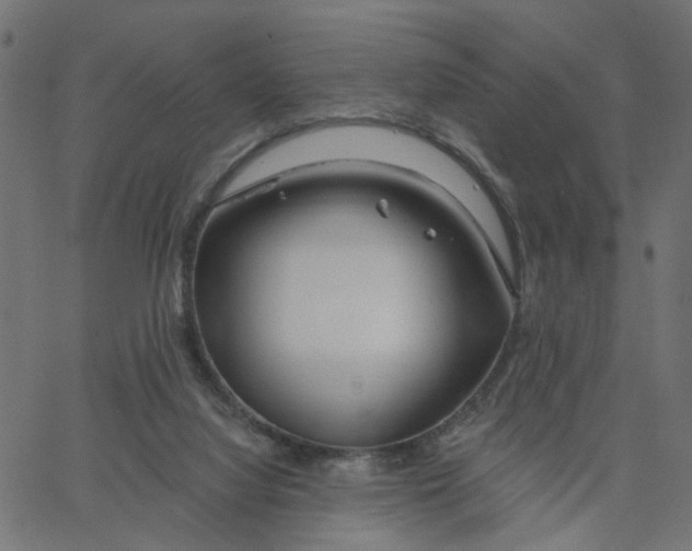X0000067530068200604281710