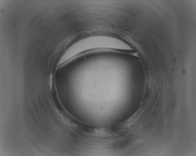 X0000067530070200604281710