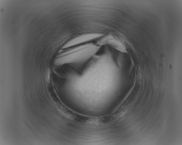 X0000067530076200604281710