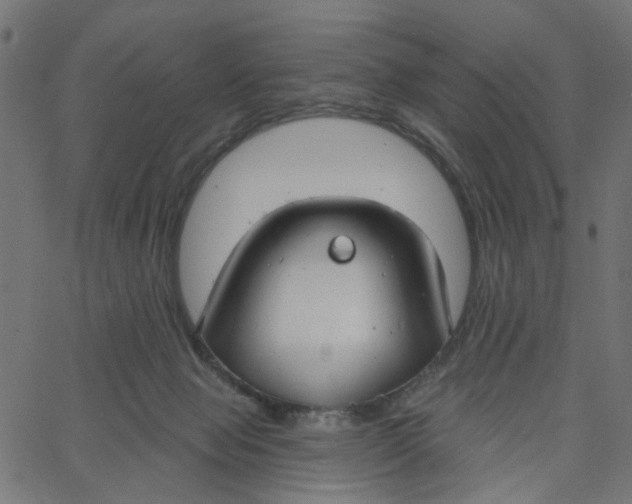 X0000067530077200604281710