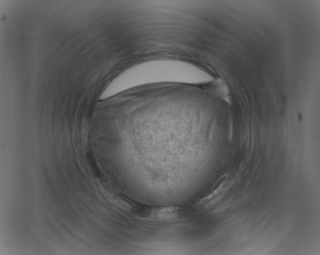 X0000067530078200604281710