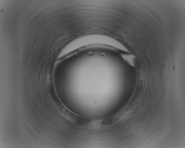 X0000067530080200604281710