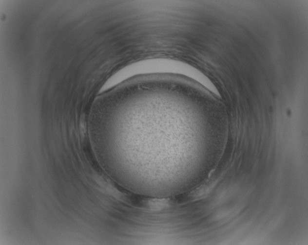 X0000067530085200604281710