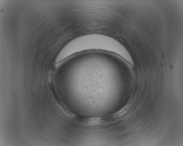 X0000067530090200604281710