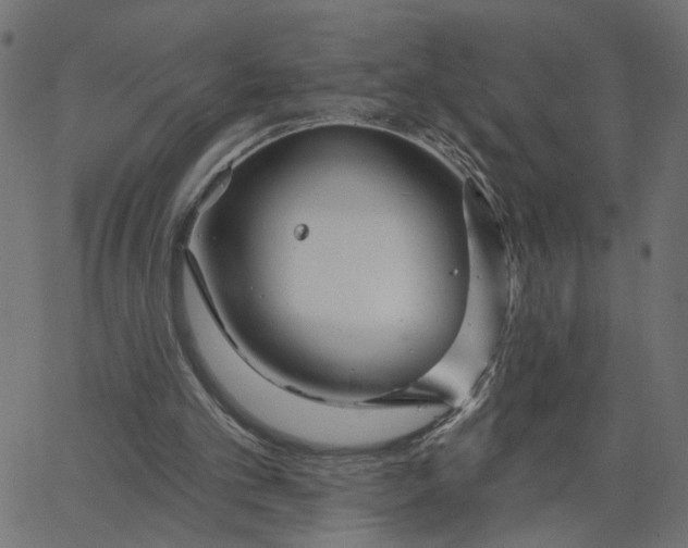 X0000067530101200604281710